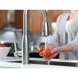 Peerless Choice Chrome 1-Handle Deck-Mount Low-Arc Handle Kitchen Faucet