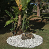Rain Forest 0.25 cu. ft. 1 in. to 2 in. 20 lbs. Caribbean Beach Pebbles - Super Arbor