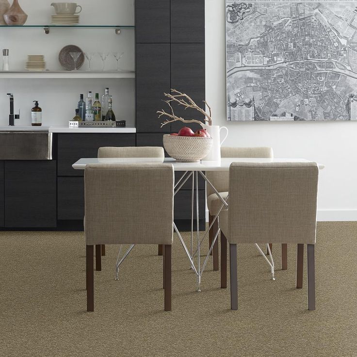 STAINMASTER PetProtect Baxter IV Dachshund Textured Carpet (Indoor)