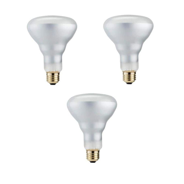 Philips 50-Watt Equivalent Halogen BR30 Dimmable Flood Light Bulb (3-Pack)