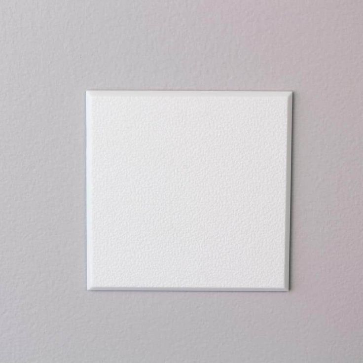4 in. White Wall Guard