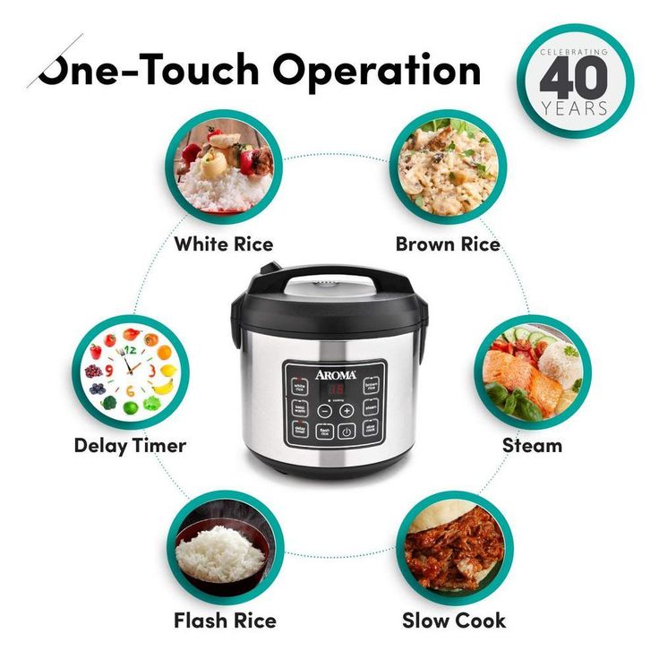 20-Cup Silver Rice Cooker with Food Steamer and Slow Cooker Functions