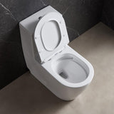 All-in-One Toilet Elongated One-Piece Dual Flush 1.28 GPF/0.88 GPF High Efficiency Skirted Toilet in White - Super Arbor