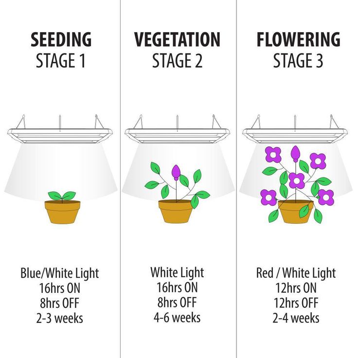 14 in. 86-Watt Integrated Full Spectrum LED Non-Dimmable Indoor High Bay Plant Grow Light Fixture, Daylight