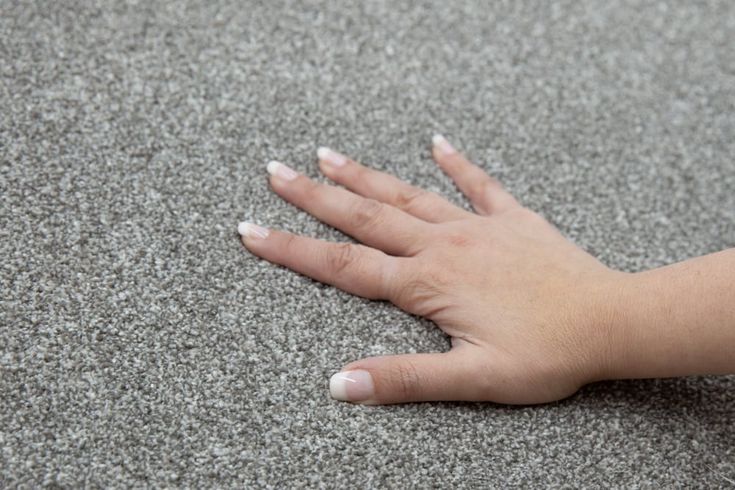 STAINMASTER Beatitude Elsewhere Textured Carpet Sample (Interior)
