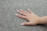 STAINMASTER Beatitude Elsewhere Textured Carpet Sample (Interior)