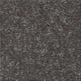 STAINMASTER Essentials Blue Diamonds I 15-ft Iron Textured Carpet (Indoor)