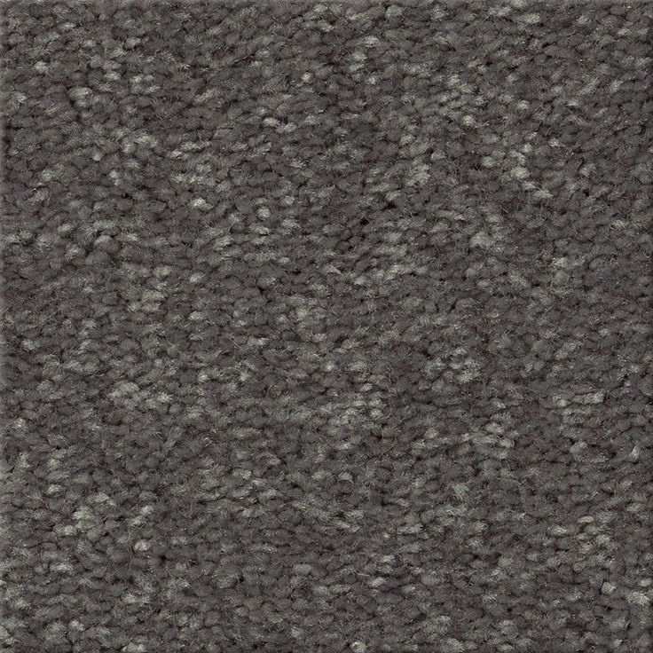 STAINMASTER Essentials Blue Diamonds II 12-ft Iron Textured Carpet Sample (Interior)