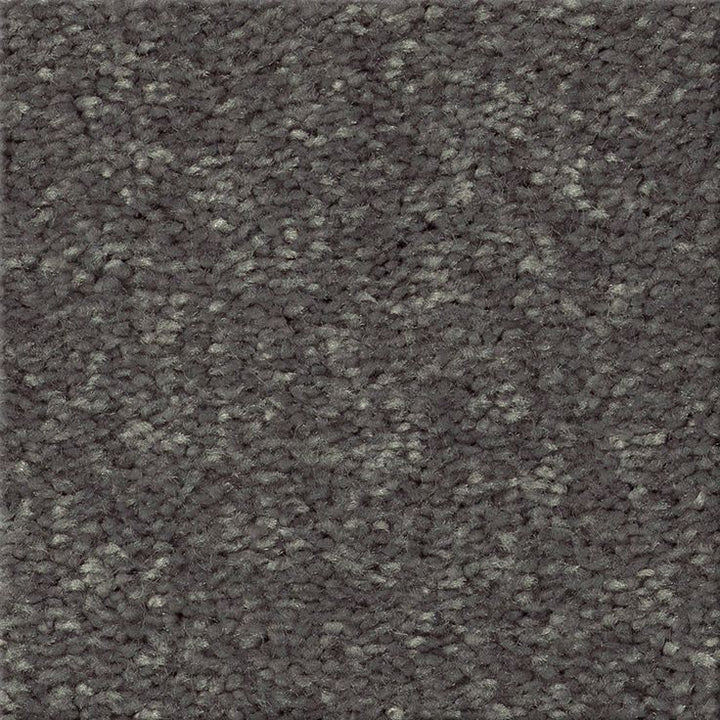 STAINMASTER Essentials Blue Diamonds II 12-ft Iron Textured Carpet (Indoor)
