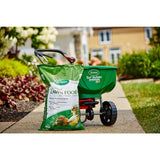 Scotts 29 lbs. Dry Natural Lawn Food
