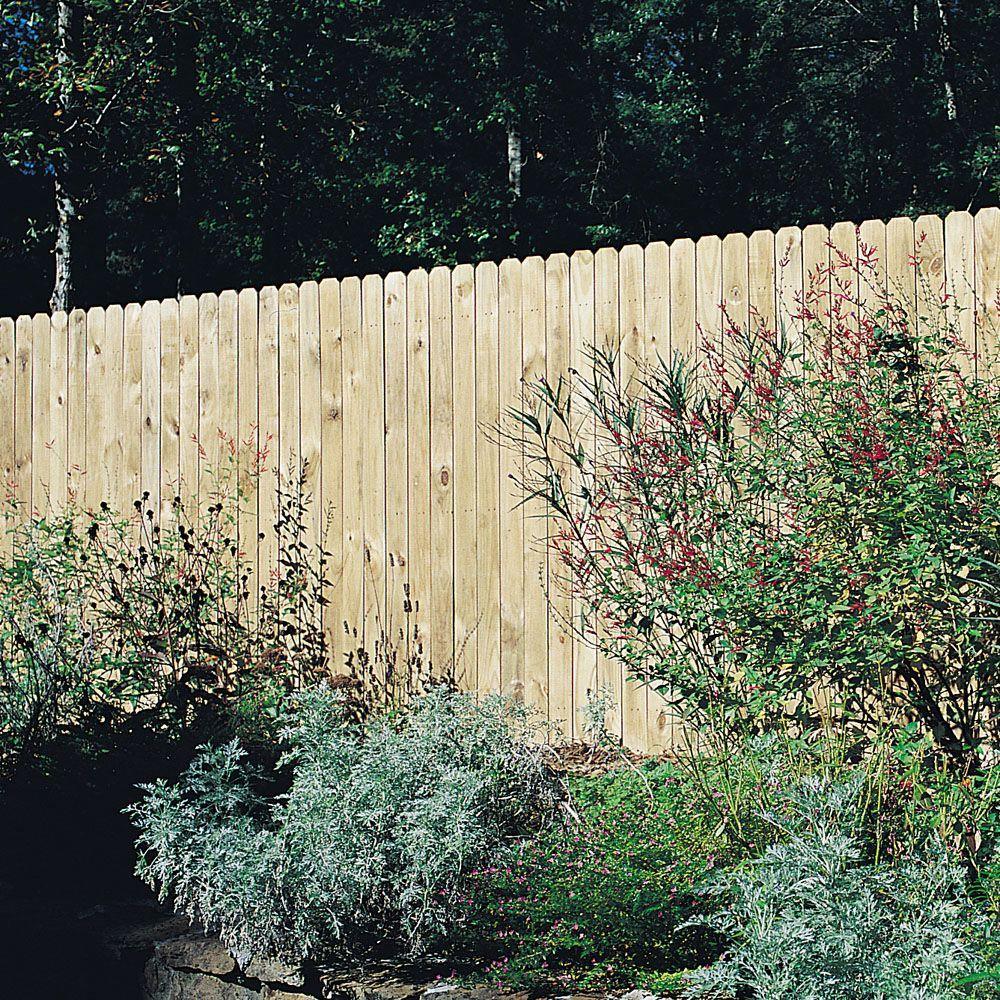 5/8 in. x 5-1/2 in. x 6 ft. Pressure-Treated Pine Wood Dog-Eared Fence Picket (10-Pack) - Super Arbor