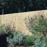 5/8 in. x 5-1/2 in. x 6 ft. Pressure-Treated Pine Wood Dog-Eared Fence Picket (10-Pack) - Super Arbor