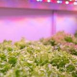 2 ft. 2-Light 19W White LED Hydroponic Non-Dimmable Indoor/Outdoor Linkable Plant Grow Light Fixture, Daylight (4-Pack)