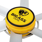 3025 10 ft. Indoor Yellow and Silver Aluminum Shop Ceiling Fan with Wall Control
