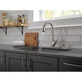 DeLuca Single-Handle Pull-Down Sprayer Kitchen Faucet with ShieldSpray Technology and Soap Dispenser in Stainless - Super Arbor