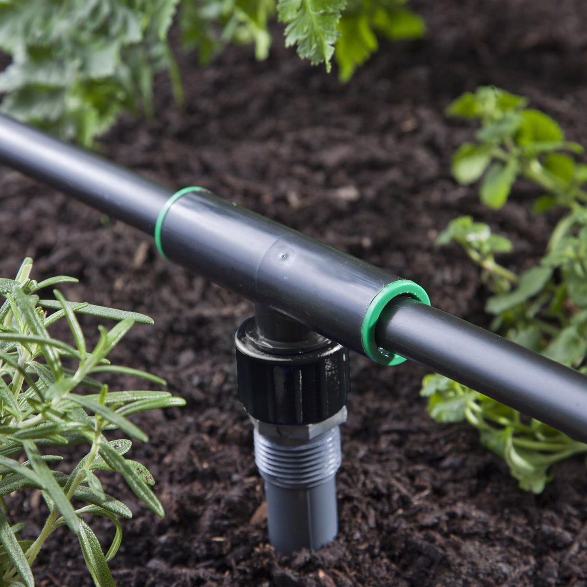 Raindrip 3/4 in. Threaded Drip Irrigation Tee, 1-Pack