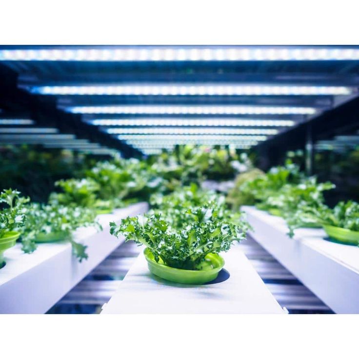 1 ft. 13.5-Watt Vertical Mount White Full Spectrum LED Non-Dimmable Indoor Linkable Plant Grow Light Strip, Daylight