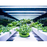 1 ft. 13.5-Watt Vertical Mount White Full Spectrum LED Non-Dimmable Indoor Linkable Plant Grow Light Strip, Daylight