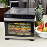 6-Tray Black Electric Food Dehydrator with Glass Door