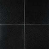 MSI Absolute Black 12 in. x 12 in. Polished Granite Floor and Wall Tile (10 sq. ft. / case)