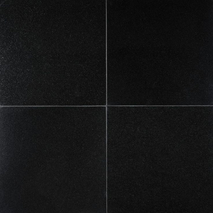 MSI Absolute Black 12 in. x 12 in. Polished Granite Floor and Wall Tile (10 sq. ft. / case)