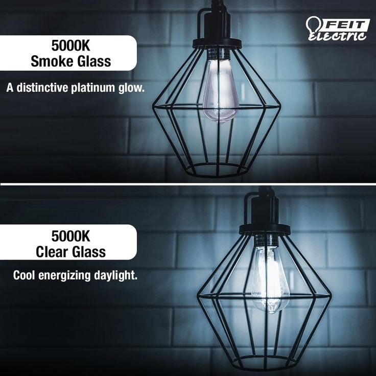 Feit Electric 25-Watt Equivalent T14 Dimmable LED Smoke Glass Vintage Edison Light Bulb with Spiral Filament Daylight (4-Pack)