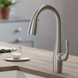 Esina Single-Handle Pull-Down Sprayer Kitchen Faucet with Dual Function Sprayhead in All-Brite Spot Free Stainless Steel - Super Arbor