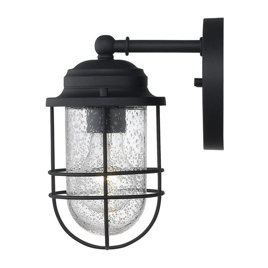 Seaport 1-Light Natural Black (UV) Outdoor Wall Lantern Sconce