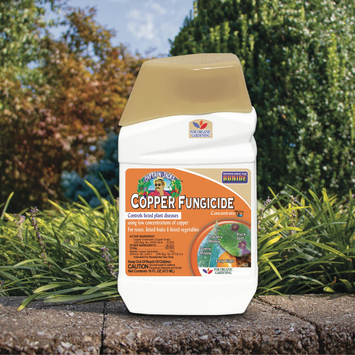 Bonide Captain Jack’s Liquid Copper Fungicide Concentrate, 16 oz