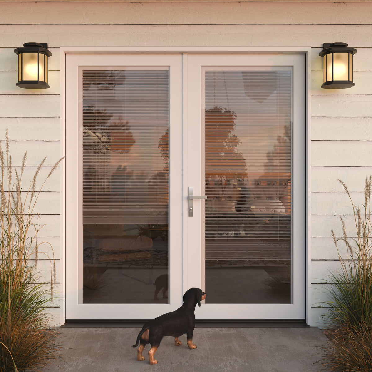 JELD-WEN 72-in x 80-in Fiberglass French, Right-hand inswing – installed room view