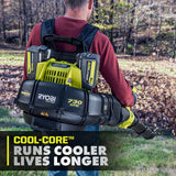 RYOBI 40V Lithium-Ion 6Ah High Capacity Battery (OP4060A1)