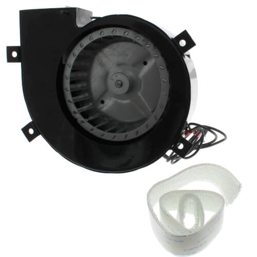 Packard 82052 inducer motor - side view (Voltage: 115V; Horse Power: 1/45)