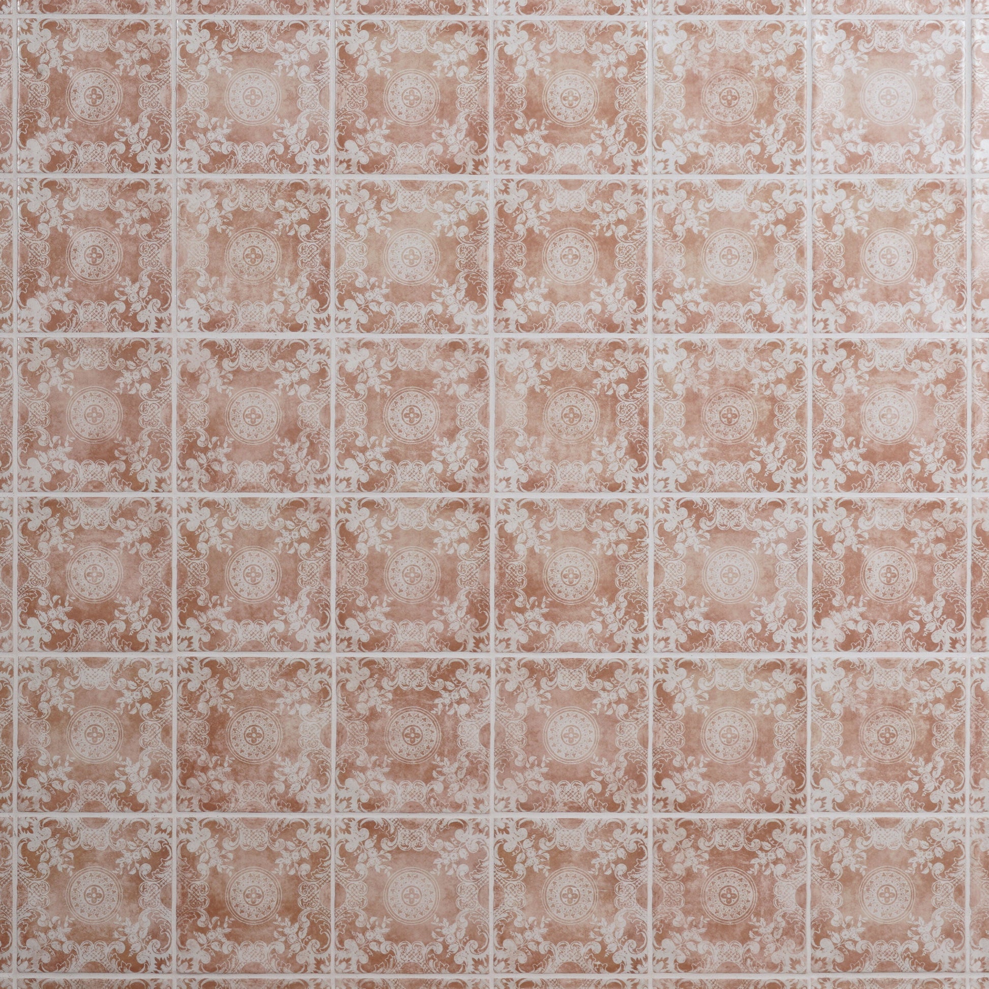 Artmore Tile Paula Purroy Reverie Cala Terracotta 5-in x 5-in Matte Ceramic Encaustic Wall Tile product image