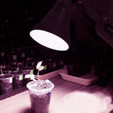 13-Watts LED Clamp Grow Light Bulb - Super Arbor