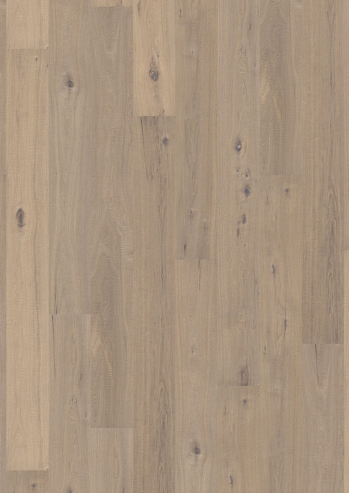 Solidfloor Oak Kinabalu hardwood flooring — primary plank view