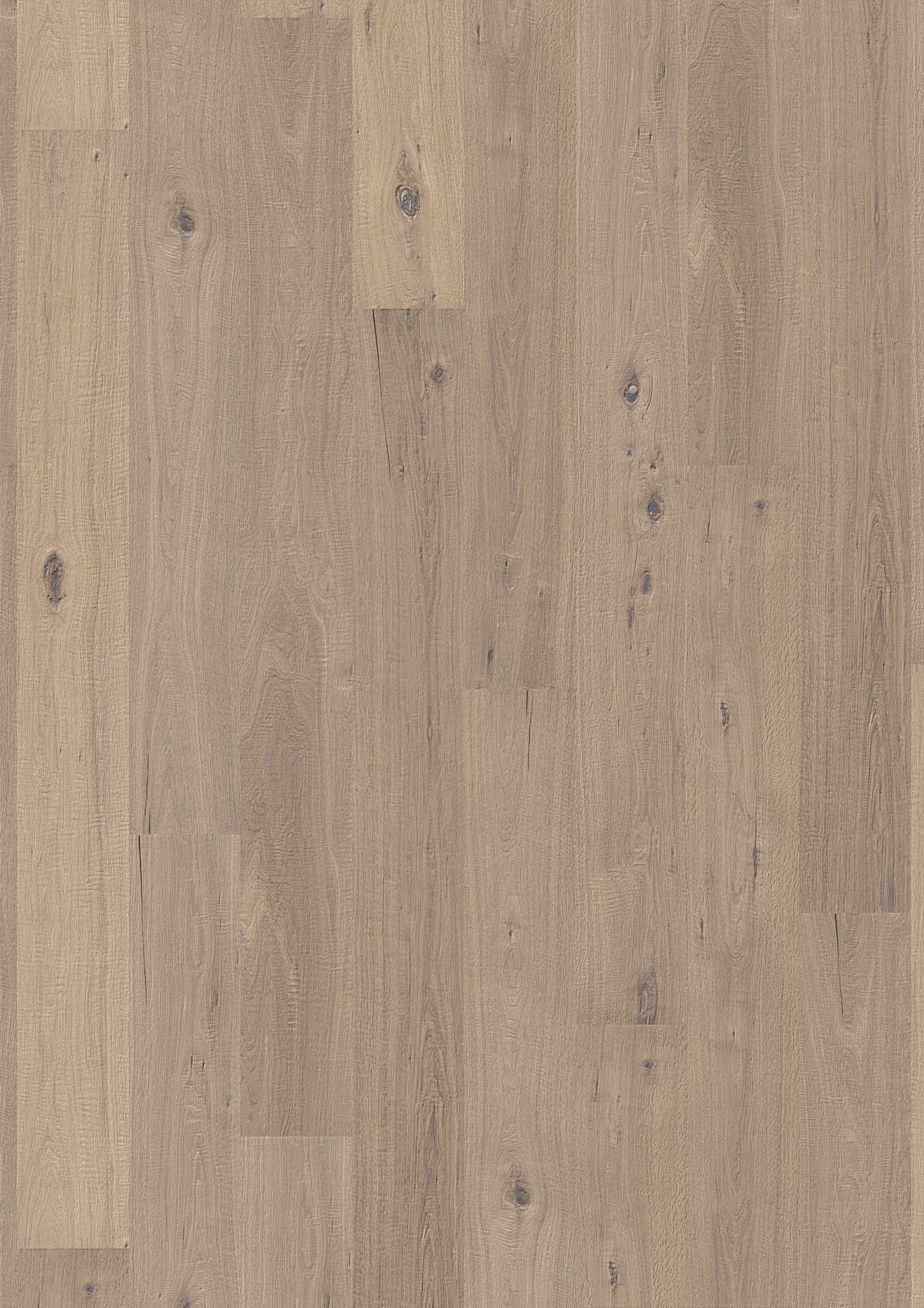 Solidfloor Oak Kinabalu hardwood flooring — primary plank view