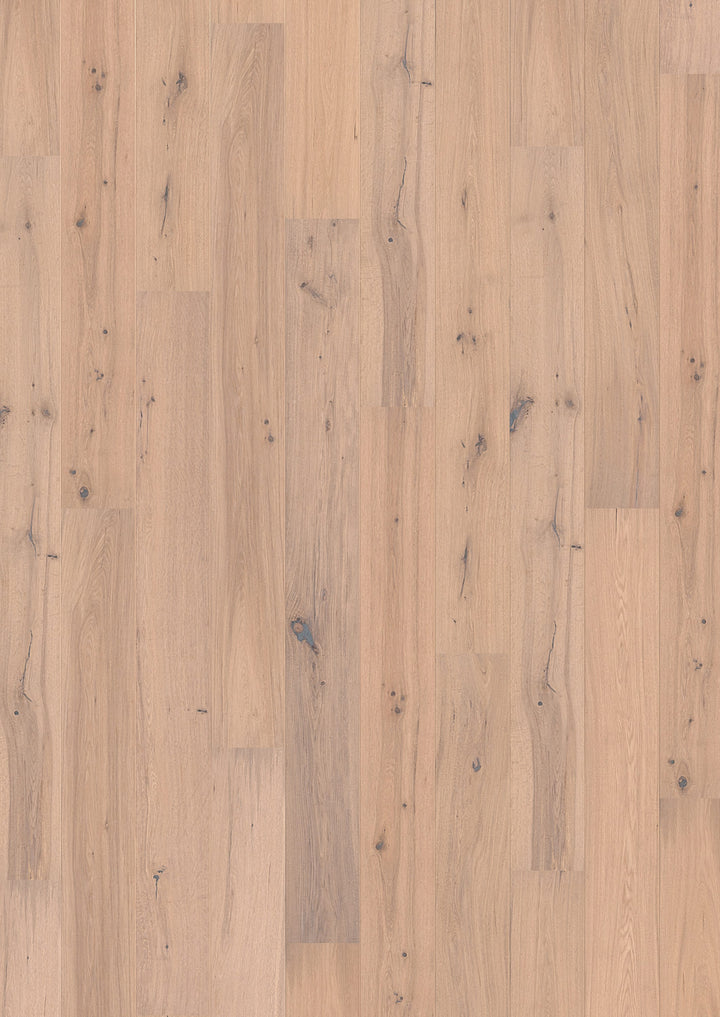 Solidfloor Oak Arctic hardwood flooring — primary plank view