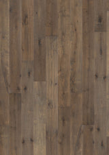 Solidfloor Oak Kentucky hardwood flooring — primary plank view