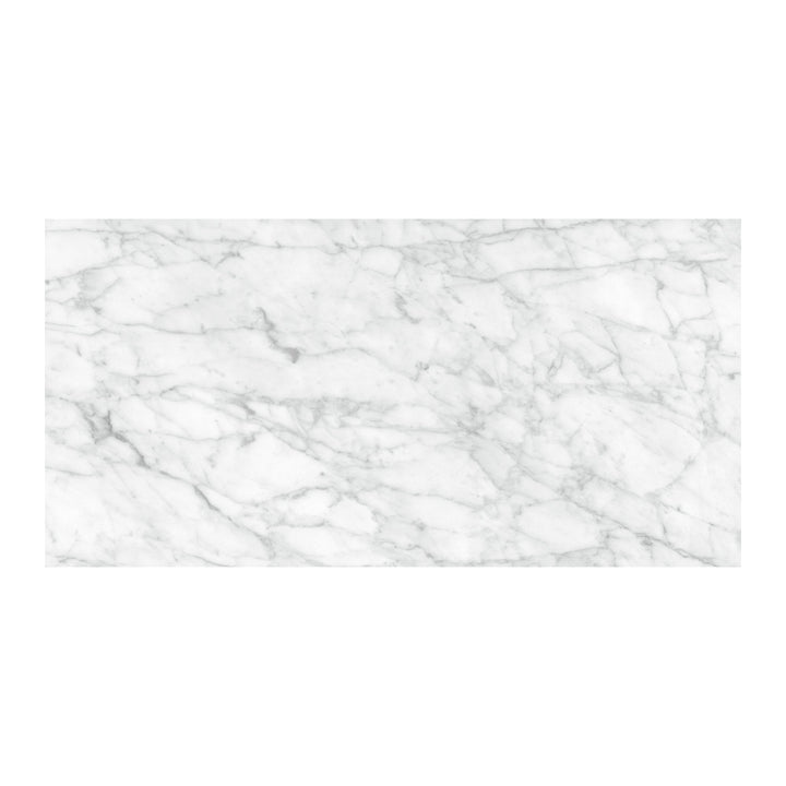 Satori La Marca Carrara Gioia 12-in x 24-in Honed Porcelain Marble look Floor and Wall Tile product image