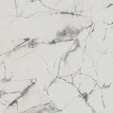 Lockson Mix 24 in. x 48 in. Polished Porcelain Floor and Wall Tile (16 sq. ft./Case)