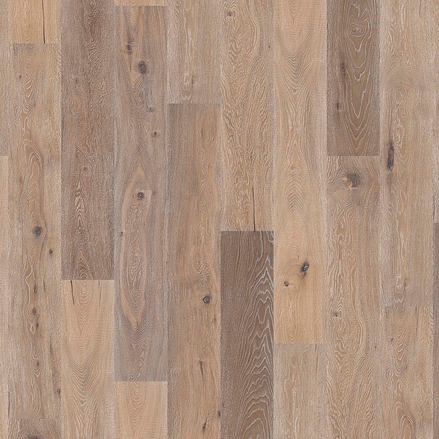 Solidfloor Oak Caucasus hardwood flooring — primary plank view