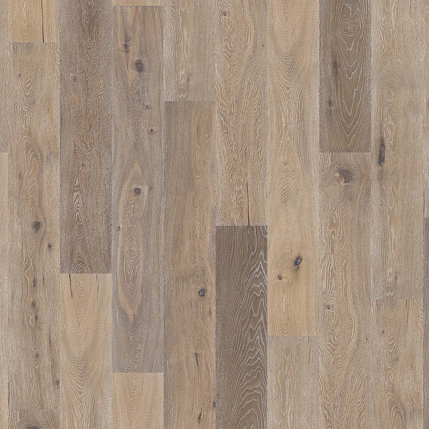 Solidfloor Oak Caucasus hardwood flooring — primary plank view