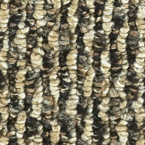 12-ft Berber/Loop Interior/Exterior Carpet - Super Arbor