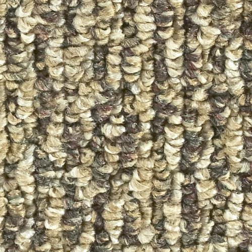 12-ft Berber/Loop Interior/Exterior Carpet - Super Arbor