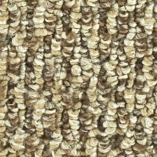 12-ft Berber/Loop Interior/Exterior Carpet - Super Arbor