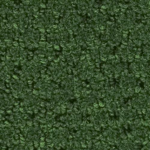 12-ft Berber/Loop Interior/Exterior Carpet - Super Arbor