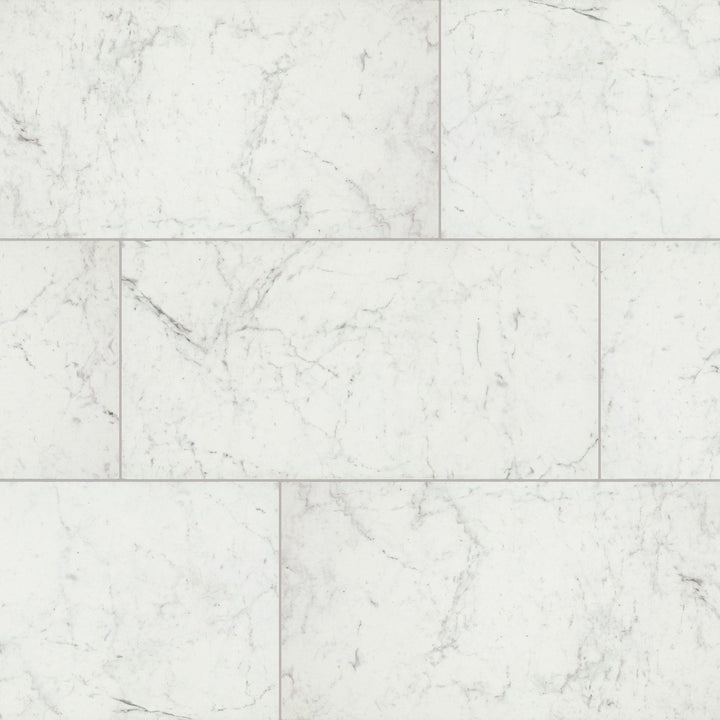 Daltile Core Classic Carrara Marble 12-in x 24-in Matte Porcelain Marble look Floor and Wall Tile product image