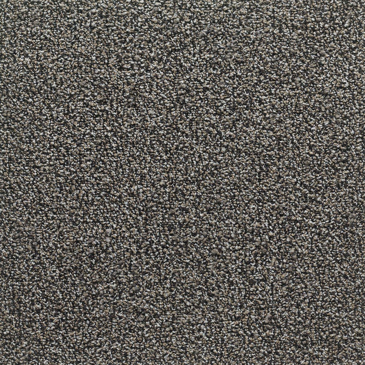 Horsforth 24" x 24" (72SF/carton) carpet tile in SLATEN SKY - Super Arbor