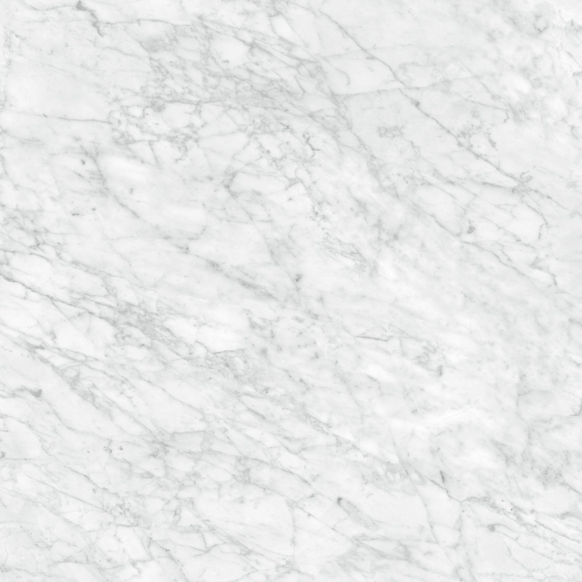 Satori La Marca Carrara Gioia 32-in x 32-in Honed Porcelain Marble look Floor and Wall Tile product image