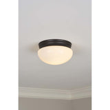 Project Source 9.25-in Brushed Nickel Traditional Flush Mount Light - Super Arbor